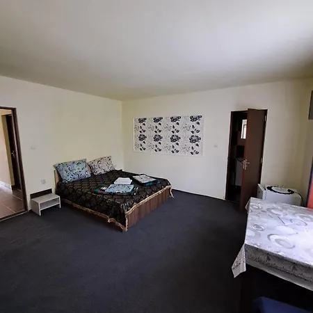 Casa Vlad 4* Costinesti