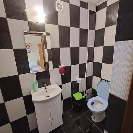 Casa Vlad ゲストハウス コスティネシュティ