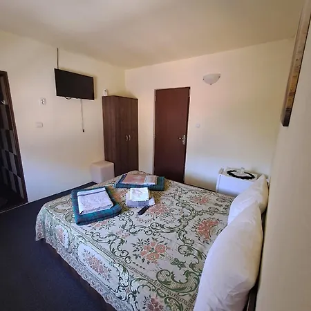 ゲストハウス Casa Vlad コスティネシュティ