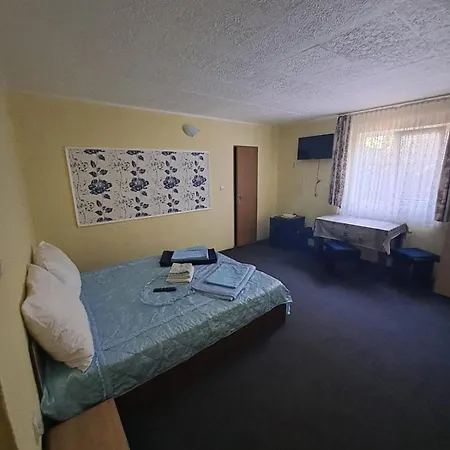 Casa Vlad ゲストハウス コスティネシュティ