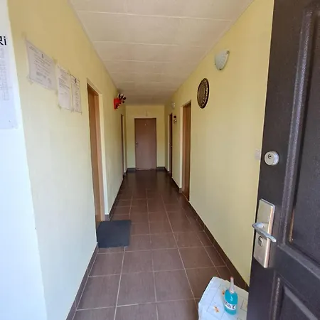 ゲストハウス Casa Vlad